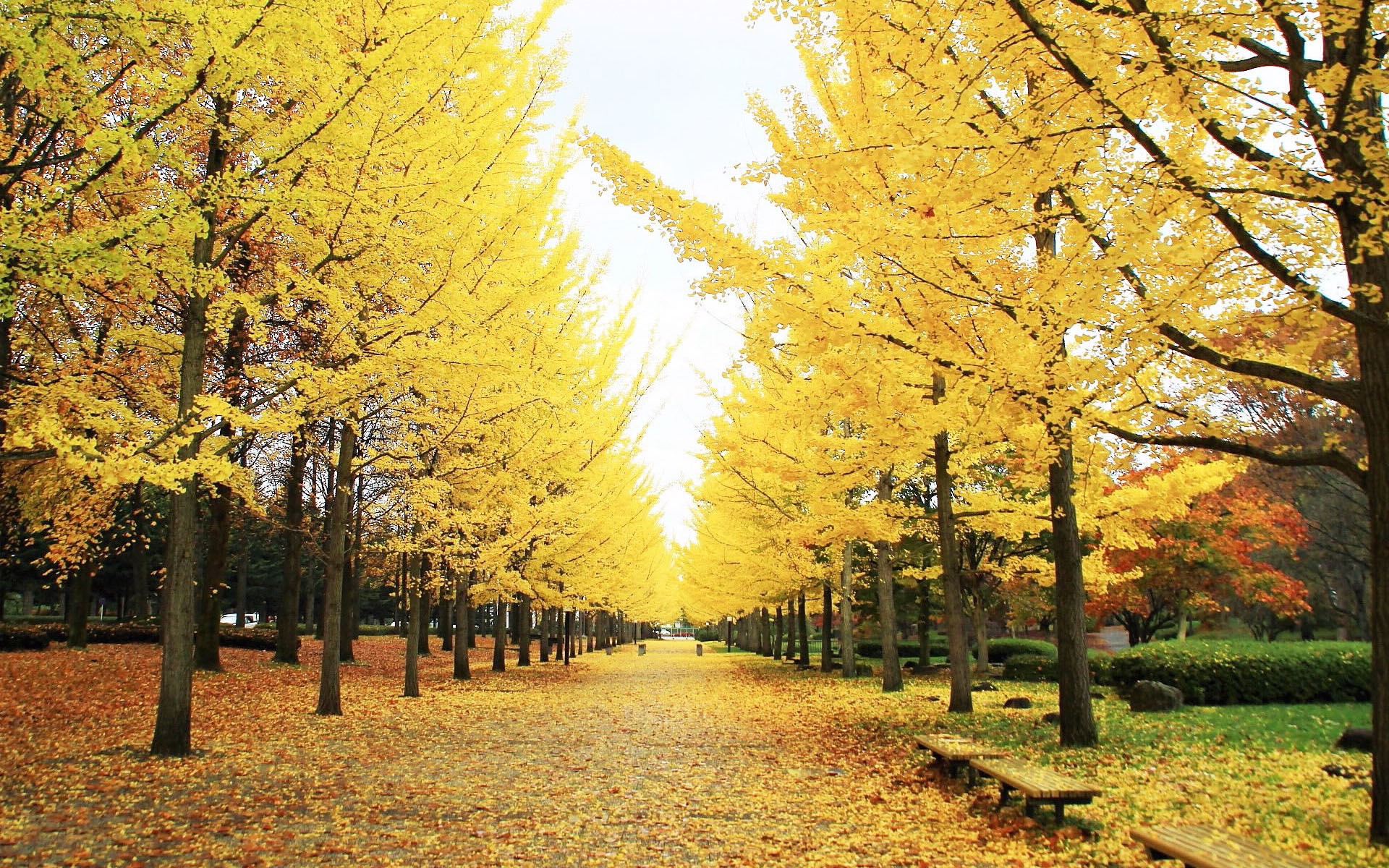 OBÊÓѶ¡¤(ÖйúÓÎ)¹Ù·½ÍøÕ¾