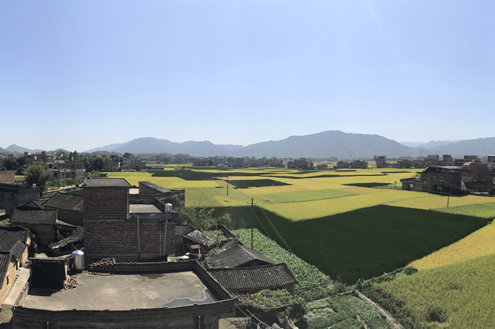 OB��Ѷ��(�й���)�ٷ���վ