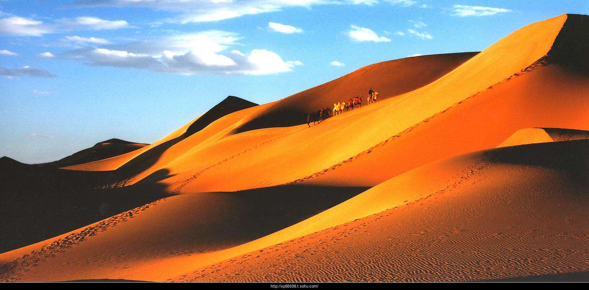 OB��Ѷ��(�й���)�ٷ���վ