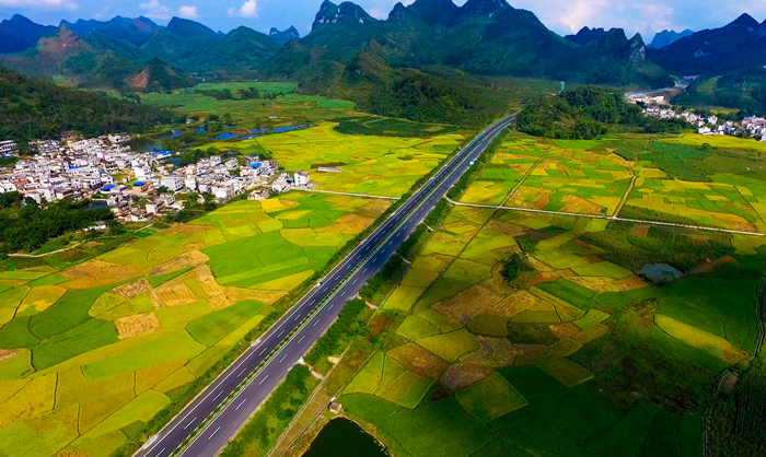 OB��Ѷ��(�й���)�ٷ���վ