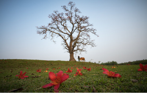 OB��Ѷ��(�й���)�ٷ���վ