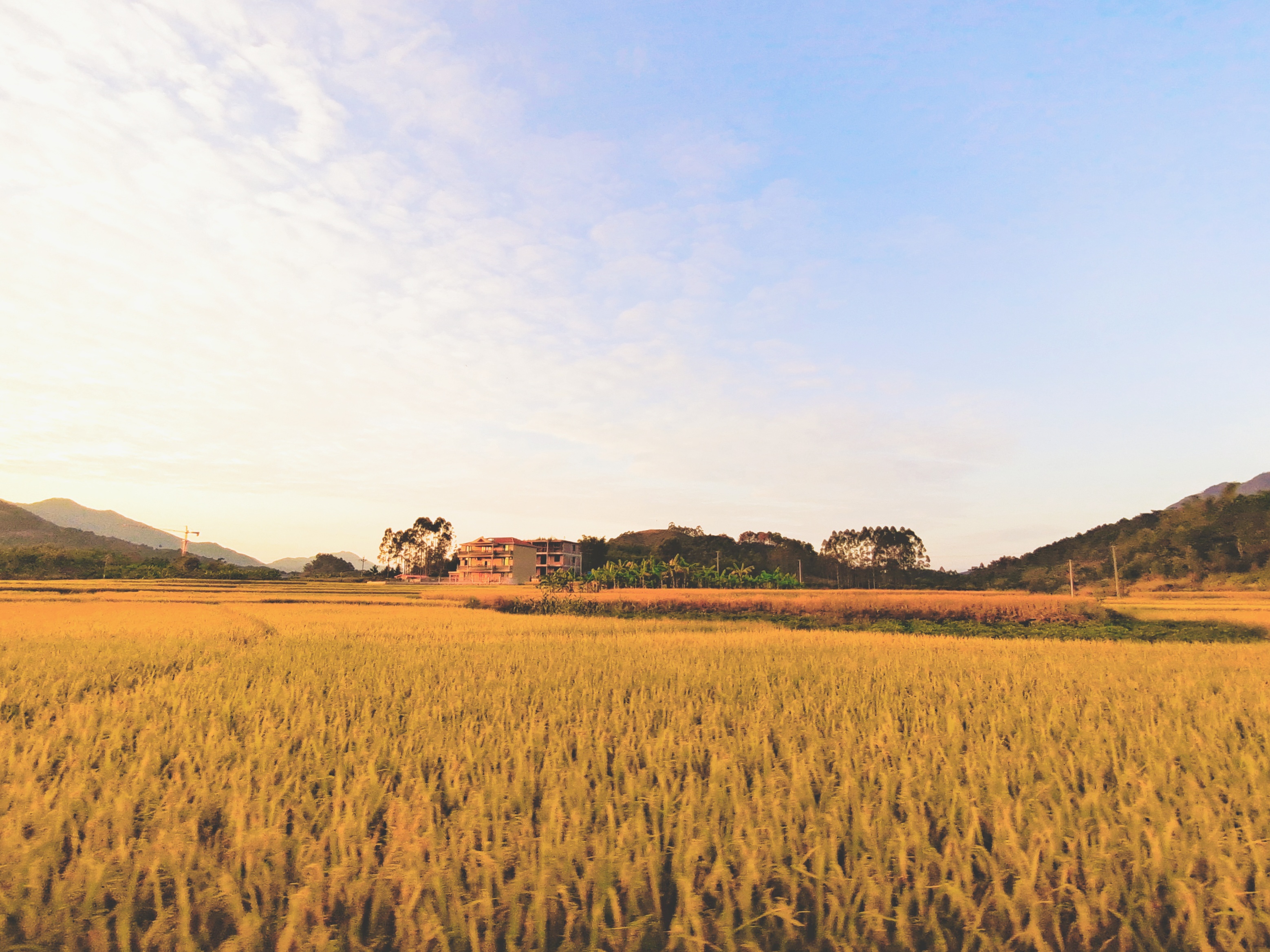 OBÊÓѶ¡¤(ÖйúÓÎ)¹Ù·½ÍøÕ¾