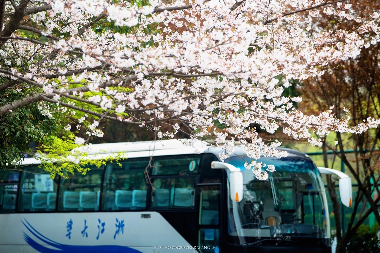 OB��Ѷ��(�й���)�ٷ���վ