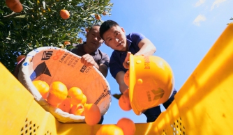 ����OB��Ѷ������绪 ��ͨ�緶��ȫ����ͨ������Ӱ����������Ʒ�������һ����