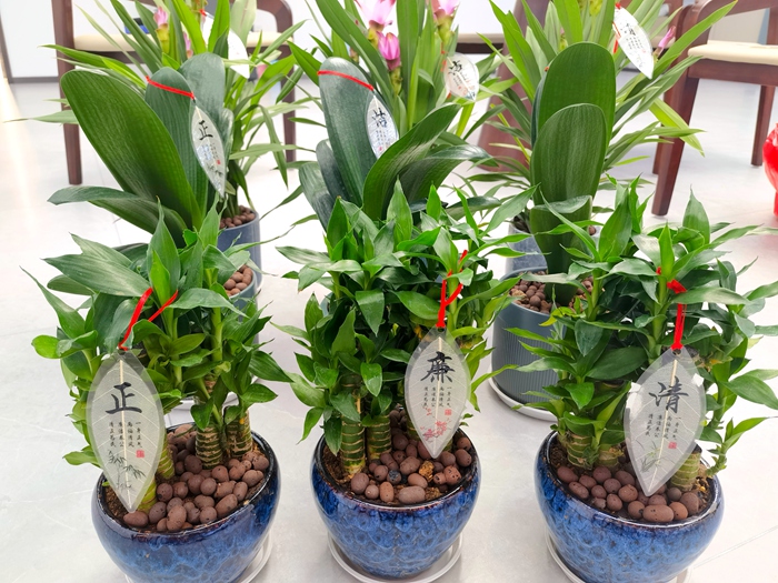 OB��Ѷ��(�й���)�ٷ���վ