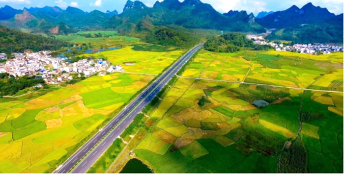 OB��Ѷ��(�й���)�ٷ���վ