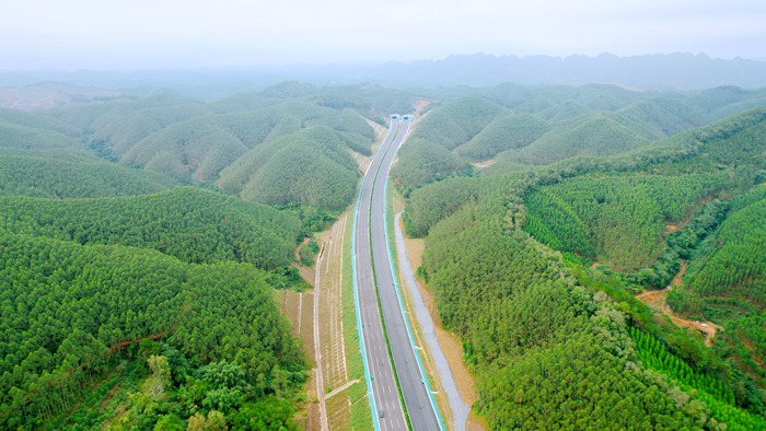 OB��Ѷ��(�й���)�ٷ���վ