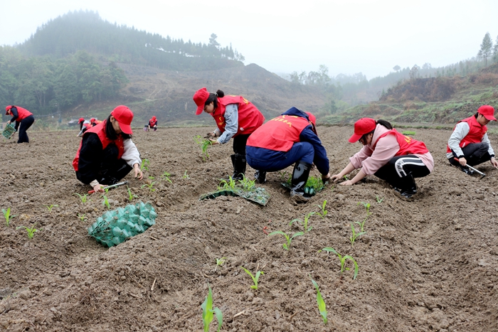 OB��Ѷ��(�й���)�ٷ���վ